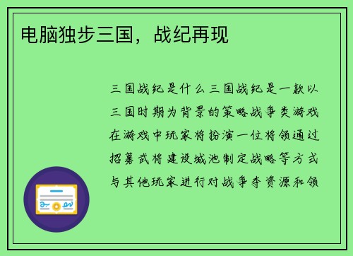 电脑独步三国，战纪再现